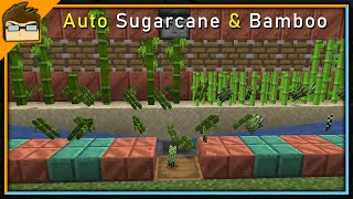 Minecraft Auto Bamboo \u0026 Sugarcane Farm Tutorial #SHORTS