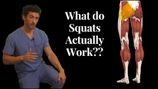 BEFORE YOU SQUAT, Understand the ANATOMY Behind it! (What Muscles Squats Actually Work)