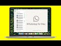 Download WhatsApp on Mac - How to Use WhatsApp on MacBook Air, Pro & Other Mac Machines