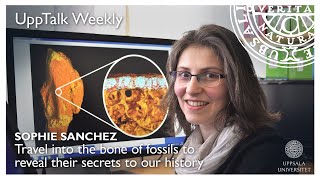 UppTalk Weekly: Travel into the bone of fossils to reveal their secrets to our history