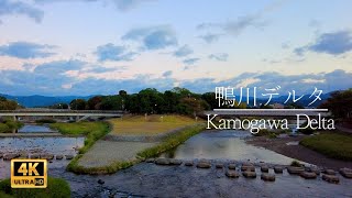 【京都散歩】早朝の鴨川デルタを歩く / Kamogawa Delta（Kyoto, Japan）