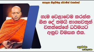 කරන්න ඕන දේ තමයි භාග්‍යවතුන් වහන්සේගේ ධර්මයට අනුව විමසන එක.2510Ven Hasalaka Seelawimala Thero