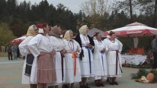 Scenes from a village 28 - Kestenijada, or Harvest Festival (HD)