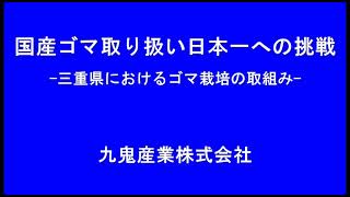 国産ゴマ取り扱い日本一への挑戦_九鬼産業株式会社（三重県四日市市）