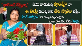 ఇది మీరు వాడే షాంపూలో కలిపి తలస్నానం చేస్తే జుట్టు గడ్డిలాగా పెరుగుతుంది🥳 |Fast Hair Growth Remedy🥳🥳