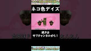 【catmeme】ねこのこチピチピこしたんたん3【音MAD】#猫ミーム #猫マニ #猫マニア #しかのこのこのここしたんたん #しかのこ #シカ色デイズ #catmeme #音MAD