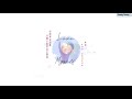 《Vietsub+Pinyin》 LOVE MYSELF - AK Lưu Chương (Full Audio) Chuang 2021