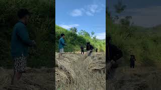 Is mountain life fun? What do you think it would be like?