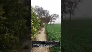 land for sale 11acres||agricultural |comarical land |cheap land in lahore city ||nahri zameen