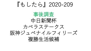 『もしたら』事前調査【中日新聞杯・カペラステークス・阪神ジュベナイルフィリーズ】2020-209