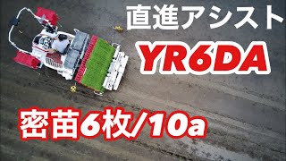 【新発売】YANMAR YR6DA 直進アシスト仕様密苗6枚/10a