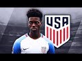 TIMOTHY WEAH - Unreal Goals, Skills & Assists - 2017 (HD)