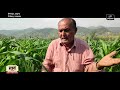 organic farming in uttarakhand a success story इस गांव में हर क‍िसान करता है जैव‍िक खेती