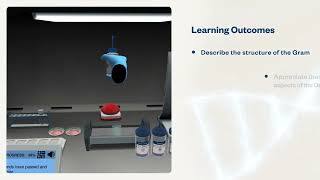 Using the Gram Stain to Help Diagnose Meningitis | Virtual Lab