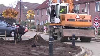 Bomenkap in de Diepvoorde / Reportage