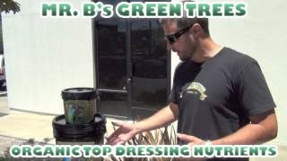 MR. B's Green Trees - Organic Top Dressing Nutrients for Outdoor \u0026 Indoor Gardens amending Soil