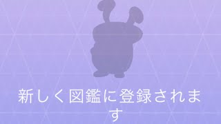 ポケモンGO コロボーシ ゲット！