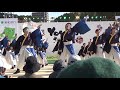 山口大学よさこいやっさん 第21回 yosakoiさせぼ祭り