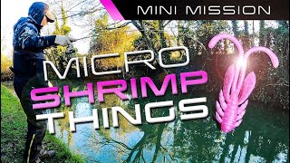 Mini Mission: MICRO SHRIMP THINGS! (Crazy Fish Squid Allure)