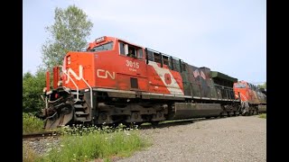 CN Veterans locomotive leading B730!