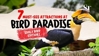 Seven must-see attractions at Bird Paradise: Early Bird Edition