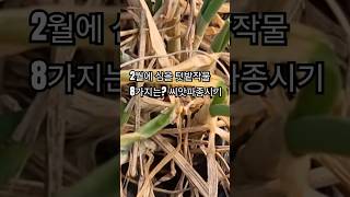 2월에 심을 텃밭작물 8가지는? 씨앗파종시기#2월에심을작물  #텃밭농사 #주말농장