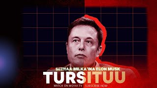 Tursituu - Seenaa Elon Musk