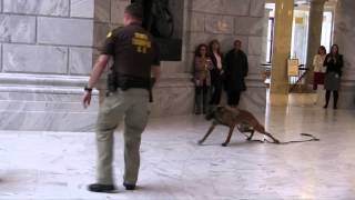 K9 Demo at State Capitol