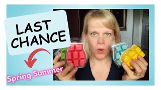 Chit Chat (1) … Last Chance Scentsy Spring Summer 2023