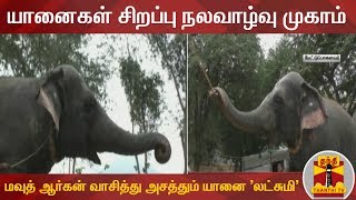 யானைகள் சிறப்பு நலவாழ்வு முகாம் : மவுத் ஆர்கன் வாசித்து அசத்தும் யானை 'லட்சுமி'