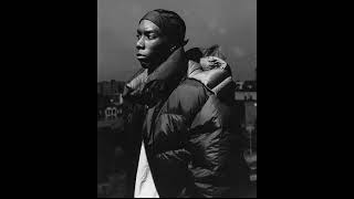 Big L - Lifestylez Ov Da Poor \u0026 Dangerous (Hidden Flava Remix)