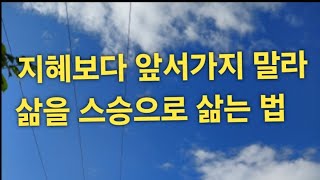 열심히 살면 살수록 더 망가진다