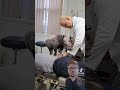 Chiropractor Reacts To TikTok Memes