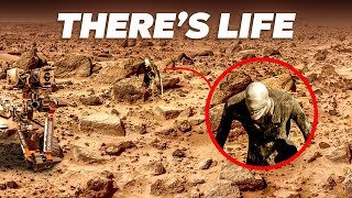 NASA'S New Discovery on Mars SHOCKS The Entire Space Industry