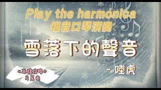 [口琴演奏 Play Harmonica]《雪落下的聲音》- 陸虎｜影視劇  延禧攻略  片尾曲 ｜複音口琴｜Tremolo｜口琴譜｜口琴教學｜Harmonica tabs