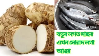 কি গৰম অ'/গৰমত খাব পৰা/কচুৰ লগত মাছৰ এখন সোৱাদ লগা আঞ্জা/village lifestyle/Assamesetraditional dish