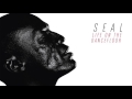 seal life on the dancefloor audio