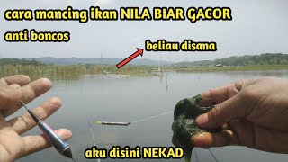 Cara mancing ikan nila biar gacor anti boncos #GGM-2