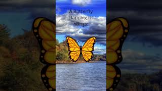 How The Butterfly Effect Feels Butterflyeffect