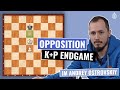 The Opposition | King & Pawn Endgames | 2D | IM Andrey Ostrovskiy