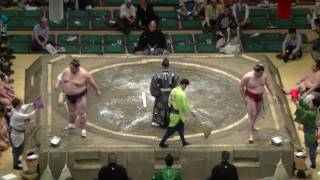 竜電-天風/2017.5.21(35)/ryuden-amakaze/day8 #sumo