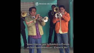 "Amor Eterno" por la banda Los Primos de San Juan Otontepec, Chontla Ver.