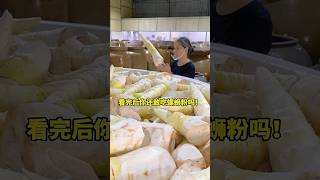 看完袋装螺蛳粉的生产过程你还敢吃螺蛳粉吗？ #螺蛳粉 #美食卷王挑战赛 #快手美食家