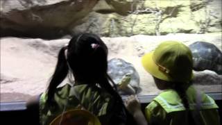 小樽　まや幼稚園　円山動物園見学旅行　2012/8/31