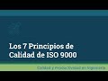 Los 7 Principios de Calidad de ISO 9000