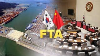 한중 FTA 20일 공식 발효…13억 시장 '활짝'