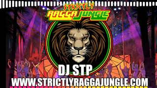 23.06.2023 - DJ STP - Strictly Ragga Jungle's Live broadcast