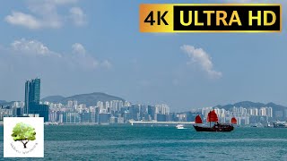 Relaxing ASMR Sounds Over Hong Kong's Victoria Harbor | Stress Relief & Sleep Aid