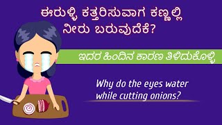 ಈರುಳ್ಳಿ ಕತ್ತರಿಸುವಾಗ ಕಣ್ಣಲ್ಲಿ ನೀರು ಬರುವುದೇಕೆ? ಇದರ ಹಿಂದಿದೆ ಕಾರಣ |   interesting Facts about onion.