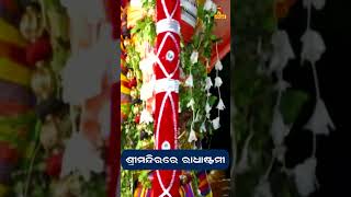 ଶ୍ରୀକ୍ଷେତ୍ରରେ ରାଧାଷ୍ଟମୀ ,ଚକ୍ରରାଜ ସୁଦର୍ଶନଙ୍କ ନଗର ପରିକ୍ରମା .. | #shorts